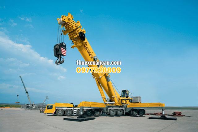Cho thuê xe cần cẩu xe nâng tại Bình Dương