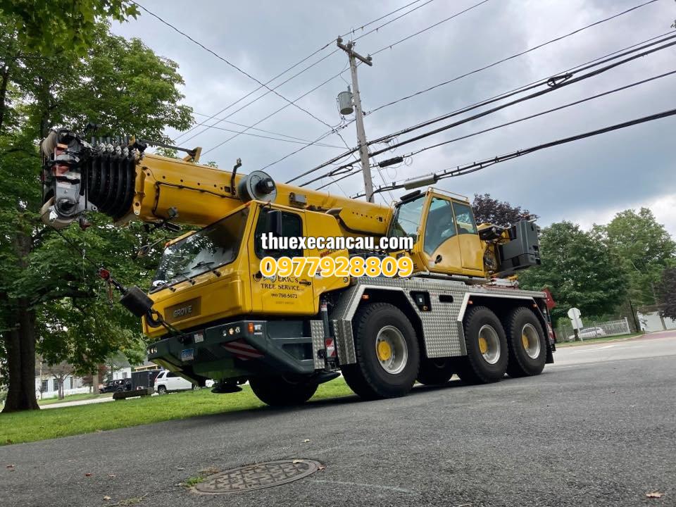 Cho thuê xe cẩu xe nâng xe móc Phú Giáo Bình Dương