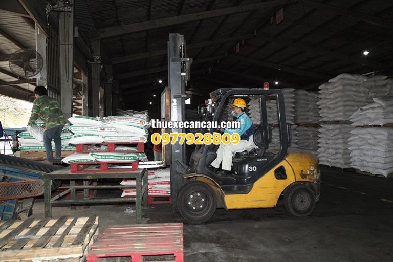 Dịch vụ thuê xe cẩu xe nâng giá rẻ Bến Cát Bình Dương