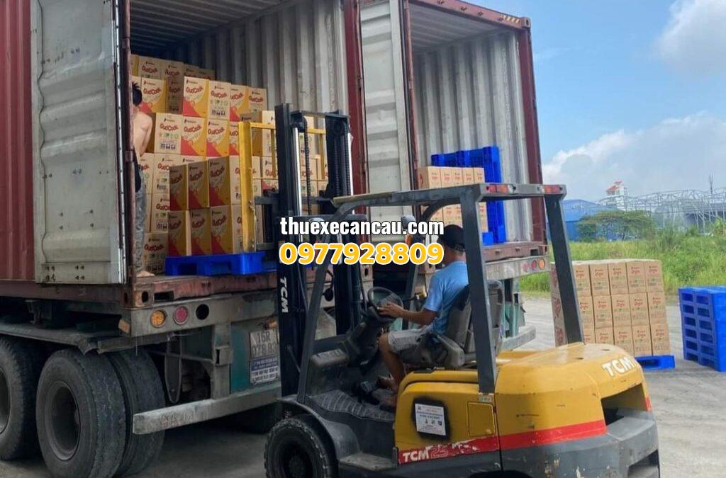 Chuyên cung cấp cho thuê xe cẩu xe nâng xe móc Bàu Bàng Bình Dương