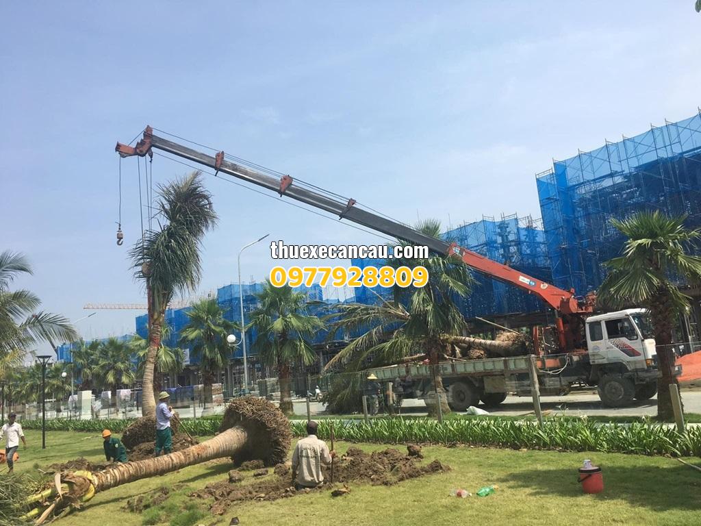 Cho thuê xe cần cẩu xe đầu kéo chuyên nghiệp giá rẻ KCN Đại Đăng Bình Dương
