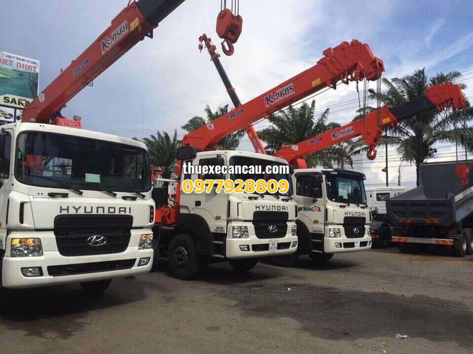 Cung cấp cho thuê xe cẩu xe nâng xe móc các loại giá rẻ Thủ Dầu Một