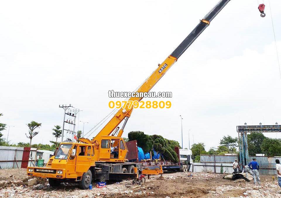 Cung cấp dịch vụ cho thuê xe cẩu xe móc Dĩ An - Uy tín giá tốt