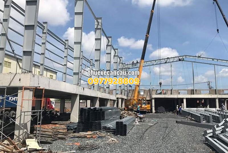 Cho thuê xe xúc và xe cần cẩu giá rẻ tại Thuận An, dịch vụ uy tín nhanh chóng cho công trình