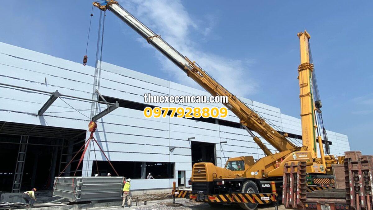Chuyên cung cấp dịch vụ thuê xe cần cẩu xe đầu kéo xe nâng giá rẻ Dĩ An